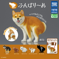 【日本正版】小全套5款 蓄勢待發犬 扭蛋 轉蛋 柴犬 黑柴犬 貴賓犬 博美犬 傑克羅素㹴 TAKARA TOMY - 083907