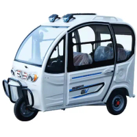 2022 Hot Sale New Cheap Fully Enclosed Convertible Large Space Adult Electric Tricycles