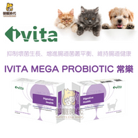 ivita 常樂 貓狗犬 寵物益生菌 60顆 腸胃道益生菌 布拉迪酵母菌 消化道 腸胃道保健