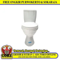 American Standard My Winston Single Flush Toilet Duduk