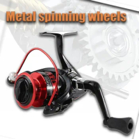 oods for Fishing Reels in the Sea Spinning Baitcasting Reel Fishing Tackle Professional All Carp Rod Equipment Tools Accessory