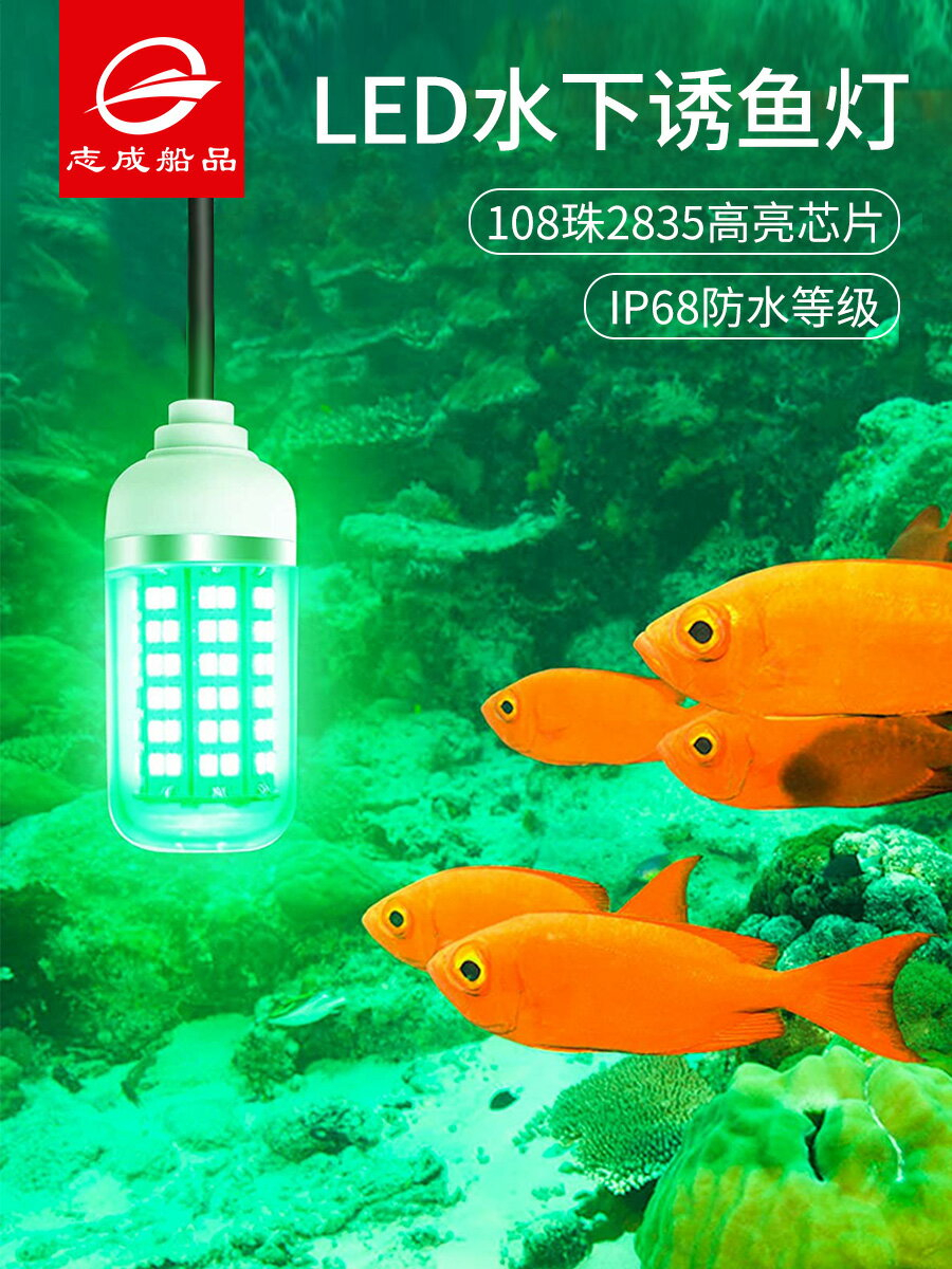 一年保証 集魚灯 青 60w 70ルーメン Led 集魚ライト 水中集魚灯 12v 青色 60 ブルー ライト イカ釣り イカ ヤリイカ ナイトタイラバ 照明 夜灯 水中ライト 水中ledライト Led集魚灯 タチウオ アジ イサキ タイラバ アオリイカ 夜釣り 夜焚き 水中 釣り 船 ボート 一年保証 集魚灯 青 60w 70ルーメン Led 集魚ライト 水中集魚灯 12v 青色 60 ブルー ライト イカ釣り イカ ヤリイカ ナイトタイラバ 照明 夜灯 水中ライト 水中ledライト Led集魚灯 タチウオ アジ イサキ タイラバ アオリイカ 夜釣り 夜焚き 水中 釣り 船 ボート
