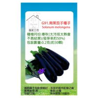 【蔬菜工坊】G91.南黑茄子種子(0.2克-約30顆)