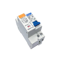 DZ32LE-32 1P+N 63MM DPNL RCBO automatic Circuit breaker with over current Leakage protection ELCB 6A 10A 16A 20A 25A 32A
