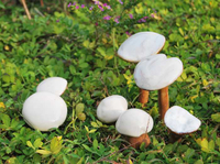 陶瓷蘑菇花園仿真工藝擺件田園花盆小白菇園林雕塑蘑菇工藝品1入