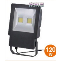 (A Light) 舞光 120W LED 投光燈 戶外洗牆燈 防水 白光 黃光 120瓦