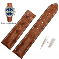 สายนาฬิกาหนังแท้จากนกกระจอกเทศสำหรับ Hamilton Jazz Series H 32755851   สายนาฬิกา ตัวล็อคพับ สร้อยข้อ