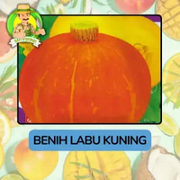 Benih Buah Buahan Bibit Biji Tanaman Organik Labu Kuning