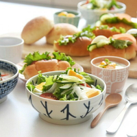 日本 Natural69 日本製 波佐見燒 swatch系列 日式丼飯碗 共7款 飯碗 陶瓷碗 日式質感