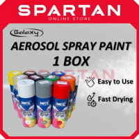 GALAXY [1 Box = 12 Units] 400ml Aerosol Spray Paint Automotive Quality Made in Malaysia |   Spray Pa