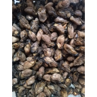 ( Peony brand ) South Korea 2025 New Years Dried Oysters S/M/L 300g (Peony Brand) Korean 2025 New Dr