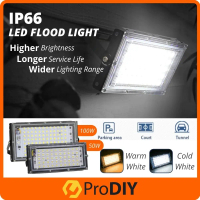 IP66 LED Flood Light 50W 100W Waterproof Landscape Dream Cast Light LED Floodlight Outdoor Light Wat