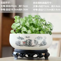 陶瓷銅錢草水培睡蓮一葉蓮碗蓮金錢草水養專用盆缸無孔大