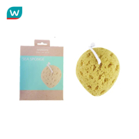 Watsons วัตสันฟองน้ำถูตัว