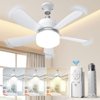 2 Combination 1 Socket Fan Light with Remote Control Small ceiling fan with light 3 Color Adjus