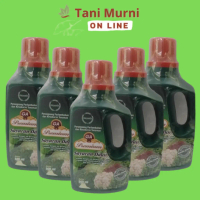 Q&J2 GA Premium SAYUR DAUN 500ML ZPT ORGANIK TERBARUEG960