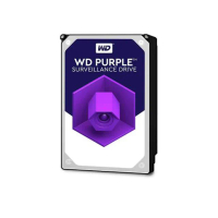【KINGNET】WD 紫標 10TB 監控硬碟 3.5吋 SATA(10T 監控碟)