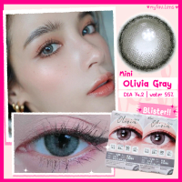 คอนแทคเลนส์ บลิสเตอร์ (NEW) Mini Olivia Gray สีเทา สายตาปกติ สายตาสั้น 0.00 ถึง -8.00