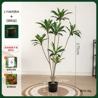 模擬綠植物盆栽天鵝絨巴西木高階輕奢北歐風室內客廳落地裝飾擺件