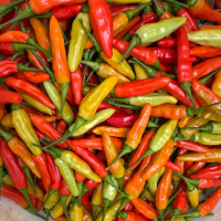 ORI 212 Cabe Rawit Merah Pedas Super Setan Daerah Jawa Barat