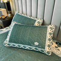 Cặp 2 cái Vỏ gói cao su non mềm mịn nằm ngủ sâu giấc, vỏ gối kích thước 70x 70