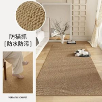 仿劍麻地毯客廳臥室攝影棚地墊貓抓板大面積鳳梨圈出租屋床邊毯 門墊 防滑墊 40*60CM
