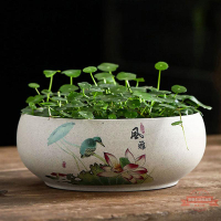 陶瓷缸無孔水仙銅錢草水培花盆清倉陽臺桌面碗蓮荷花大號水養盆