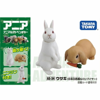 《TAKARA TOMY》多美動物ANIA AS-34 兔子  東喬精品百貨