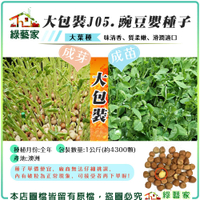 【綠藝家】大包裝J05.豌豆嬰種子1公斤(約4300顆) (豌豆芽菜種子)