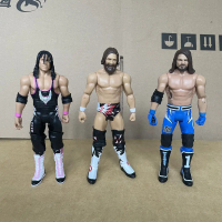 Model Tokoh Aksi, Mattel WWE, Watak Daniel Bryan Styles Bret, Pengusti