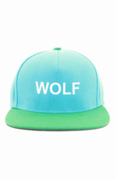 2023มาถึง Tyler The Creator Wolf Mens Womens Hat Cap Snapback Cap Casquette หมวกเบสบอล2สี # A608