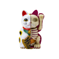 4D Classic White Fortune Cat Lucky Cat Anatomy Model PVC Figurines Models Home Decor Accessories Kids Gift