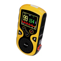 Palm Pulse Oximeter Oximeter Detector Professional Recharge Mode Oled Display SpO2 PR PI ECG Patient Monitor Newborn Baby Adult