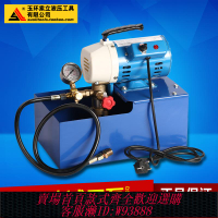 {臺灣公司貨 可打統編}DSY-25-60手提式電動試壓泵 PPR水管道試壓機 雙缸打壓泵打壓機運