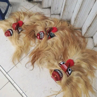 Ganongan pakem rambut sapi