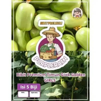 Bibit Unggul Timun Giok Golden Girl | Biji Benih Mentimun Giok Jade Girl | Ketimun Jade Girl