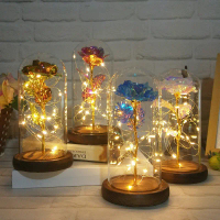 Rose Beauty Glassdome Lampu LED Bunga Mawar Dalam Kaca Ulang Tahun Valentine Anniversary Pernikahan 