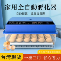110v全自動孵化器 36枚孵蛋器 家用型小雞孵化機 智能孵化箱 鵪鶉孵蛋機 暖風循環 智能控溫