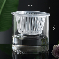 FCTransparent Simple Design Vase Cylinder Shaped Water Cultivation Plant Container