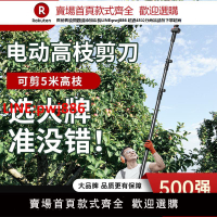 德力西電動剪刀果樹高空修枝剪充電式伸縮桿修枝剪樹剪刀園藝剪子【臺灣公司 優質服務】