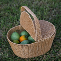 新品仿藤編織野餐籃手提籃田園有蓋水果籃購物籃收納筐手提送禮筐