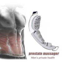 Electric Prostate Massager Heating Vibrat Magnetic Treatment Male Prostate Stimulator Magnetic Physiotherapy Instrument Relax