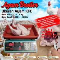 Ayam Broiler 1,3 Segar