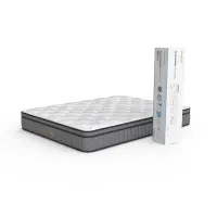 Informa Sleep 100x200x28 Cm Cuscomax Kasur Pocket Spring Bed In Box