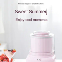 220V Cuisinart Ice Cream Maker for Home Use - Small Size, DIY Yogurt and Frozen Treats