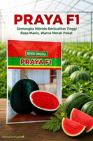 Benih Bintang Asia - Semangka Merah Praya F1 Kemasan 20 gr
