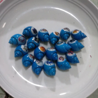 cangkang kelomang warna warni