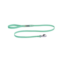 สายจูง รุ่น Hi & Light สำหรับสุนัข สี Sage Green