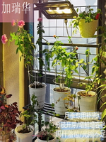 補光燈 加瑞華月季補光燈室內家用多肉大棚蔬菜花卉火龍果植物生長燈陽光