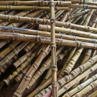 Pegangan/Gagang Joran Bambu Cendani Asli 50cm